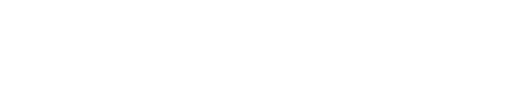 Fleet Witness-logo WHITE for website